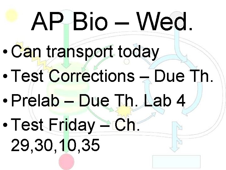 AP Bio – Wed. • Can transport today • Test Corrections – Due Th.