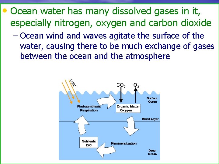  • Ocean water has many dissolved gases in it, especially nitrogen, oxygen and