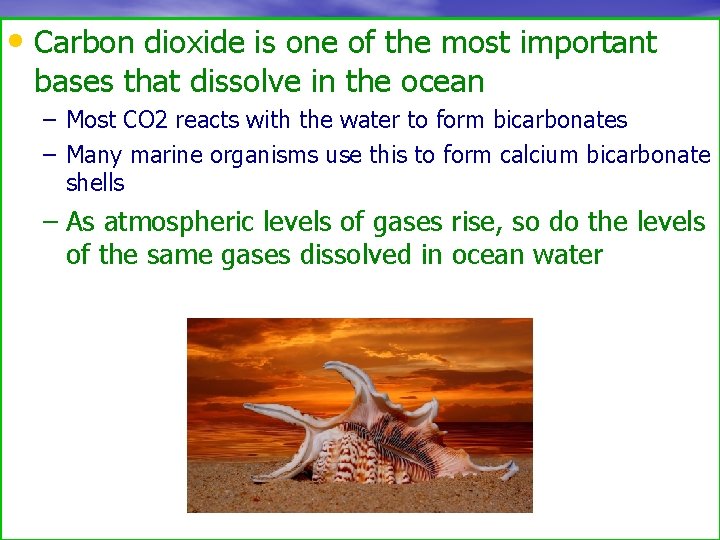  • Carbon dioxide is one of the most important bases that dissolve in