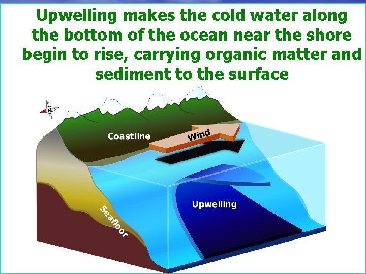 Upwelling makes the cold water along the bottom of the ocean near the shore