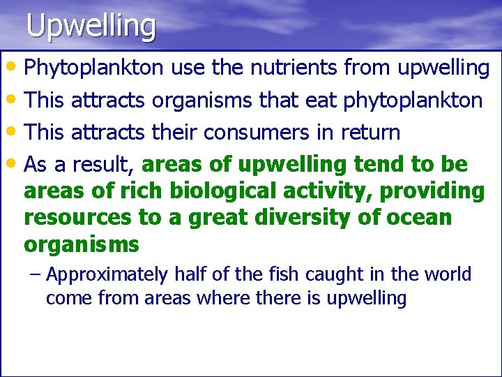 Upwelling • Phytoplankton use the nutrients from upwelling • This attracts organisms that eat
