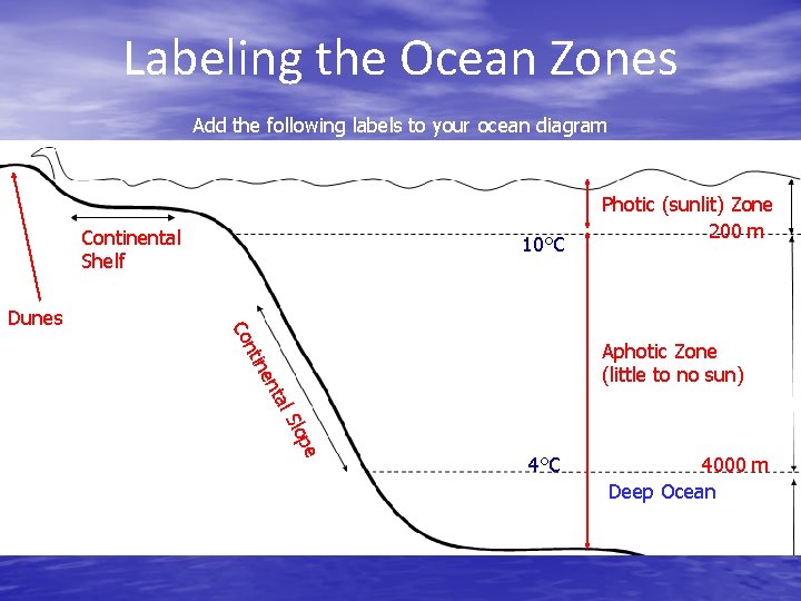Labeling the Ocean Zones Add the following labels to your ocean diagram Continental Shelf