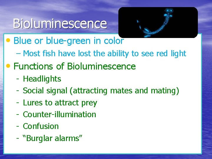 Bioluminescence • Blue or blue-green in color – Most fish have lost the ability