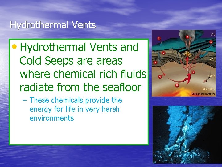 Hydrothermal Vents • Hydrothermal Vents and Cold Seeps areas where chemical rich fluids radiate