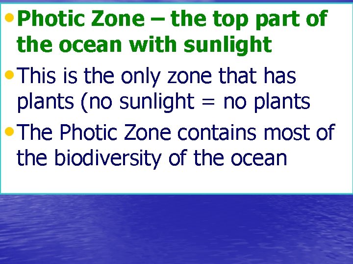  • Photic Zone – the top part of the ocean with sunlight •