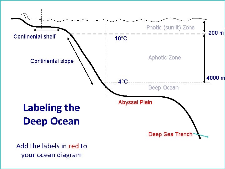Photic (sunlit) Zone Continental shelf 10°C Aphotic Zone Continental slope 4°C Labeling the Deep