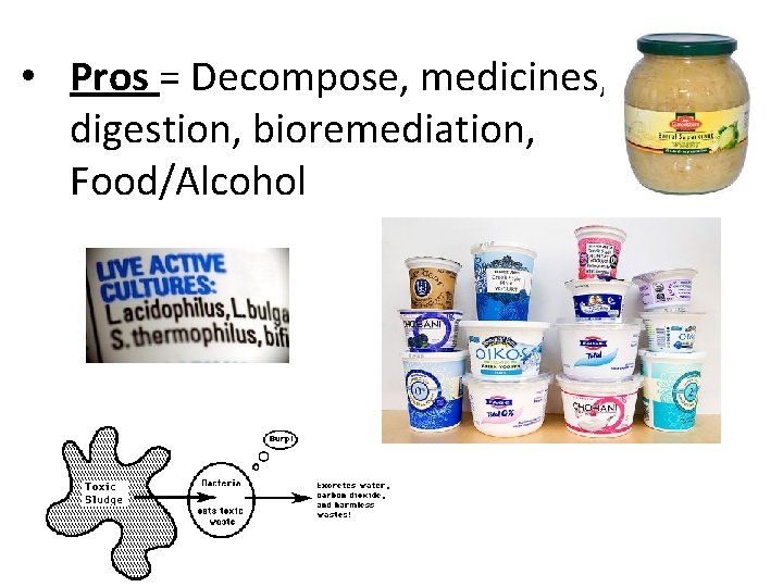  • Pros = Decompose, medicines, digestion, bioremediation, Food/Alcohol 