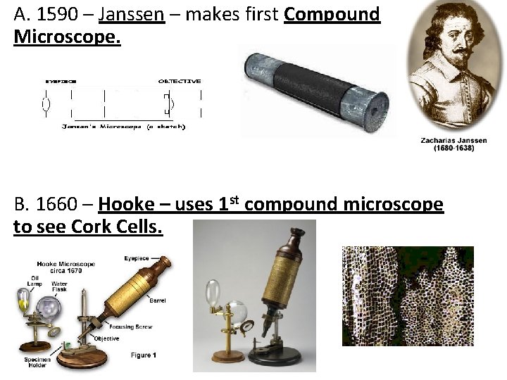 A. 1590 – Janssen – makes first Compound Microscope. B. 1660 – Hooke –