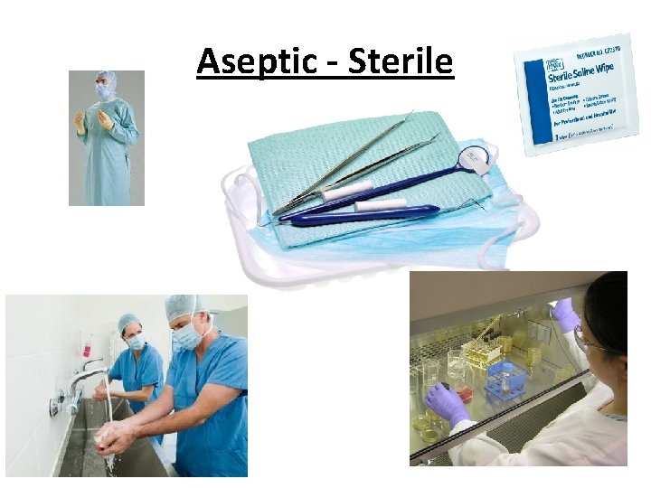 Aseptic - Sterile 