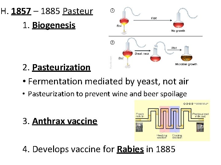 H. 1857 – 1885 Pasteur 1. Biogenesis 2. Pasteurization • Fermentation mediated by yeast,