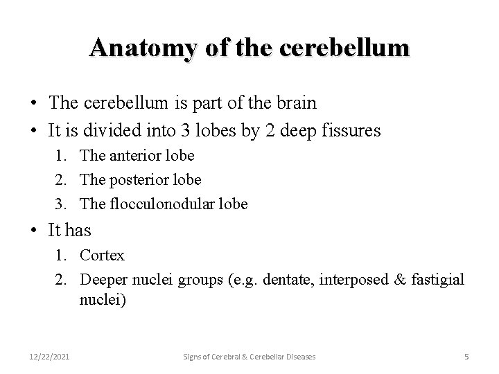 Anatomy of the cerebellum • The cerebellum is part of the brain • It