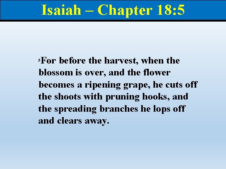 Isaiah – Chapter 18: 5 For before the harvest, when the blossom is over,