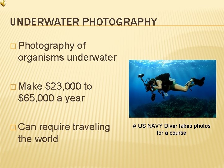 UNDERWATER PHOTOGRAPHY � Photography of organisms underwater � Make $23, 000 to $65, 000
