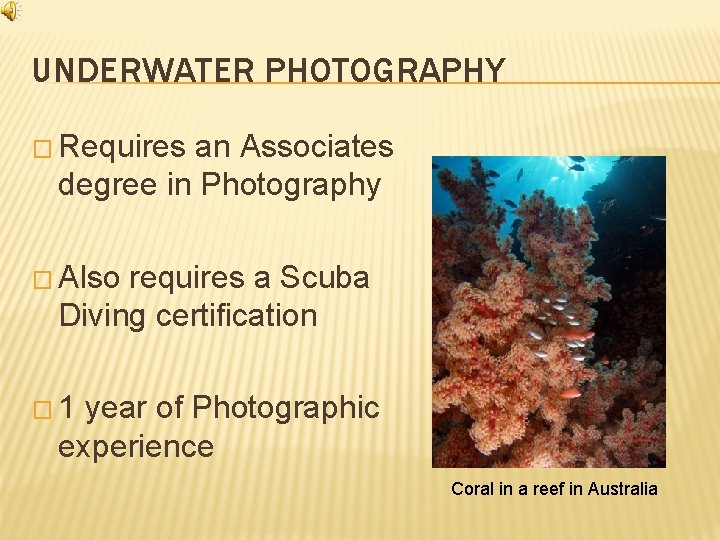 UNDERWATER PHOTOGRAPHY � Requires an Associates degree in Photography � Also requires a Scuba