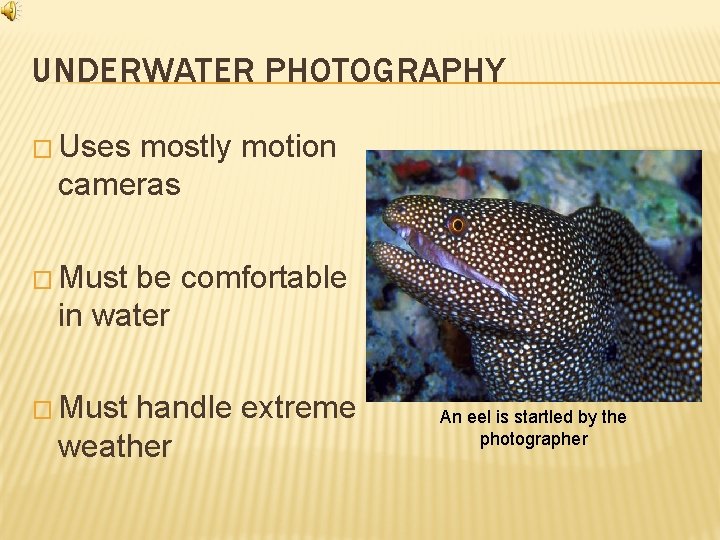 UNDERWATER PHOTOGRAPHY � Uses mostly motion cameras � Must be comfortable in water �