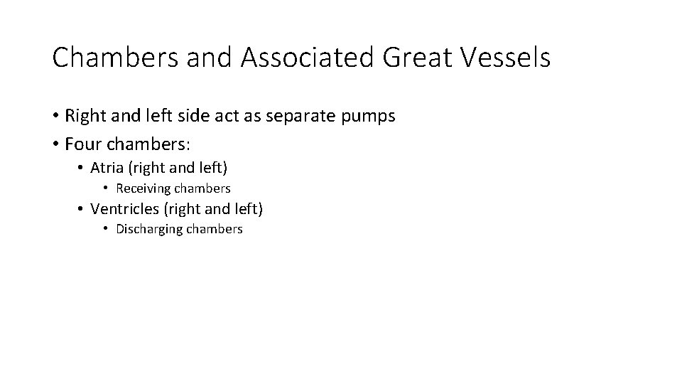 Chambers and Associated Great Vessels • Right and left side act as separate pumps