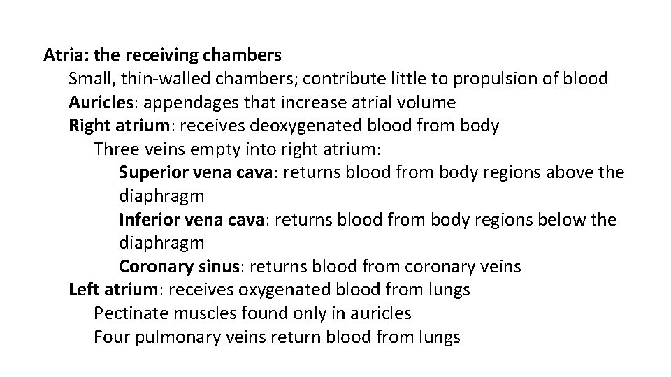 Atria: the receiving chambers Small, thin-walled chambers; contribute little to propulsion of blood Auricles: