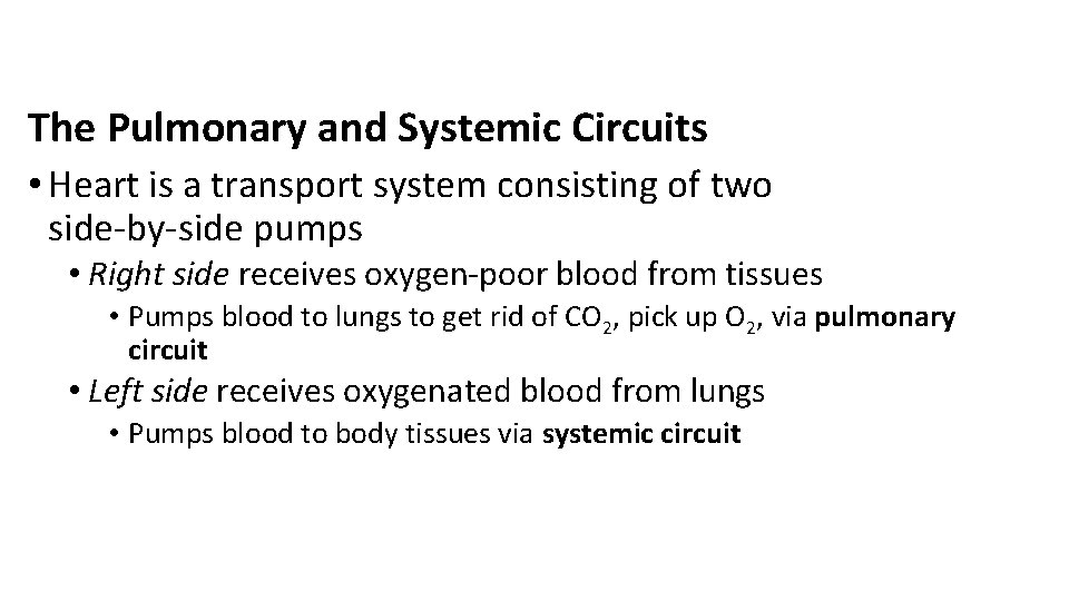 The Pulmonary and Systemic Circuits • Heart is a transport system consisting of two