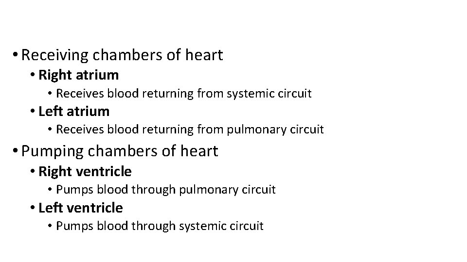  • Receiving chambers of heart • Right atrium • Receives blood returning from