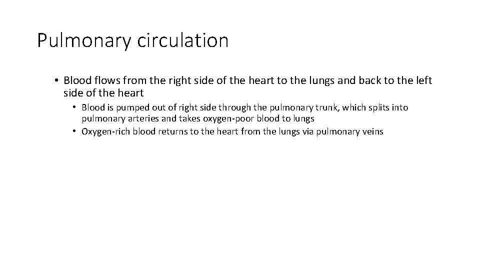 Pulmonary circulation • Blood flows from the right side of the heart to the