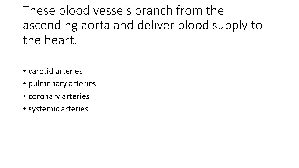 These blood vessels branch from the ascending aorta and deliver blood supply to the