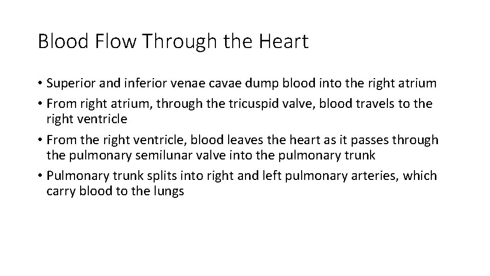 Blood Flow Through the Heart • Superior and inferior venae cavae dump blood into