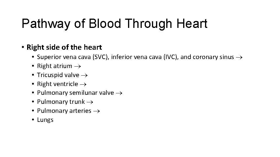 Pathway of Blood Through Heart • Right side of the heart • • Superior
