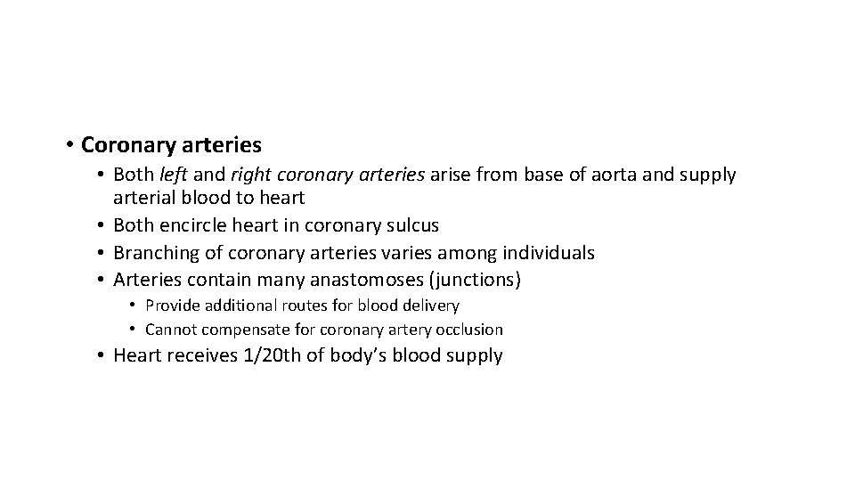  • Coronary arteries • Both left and right coronary arteries arise from base