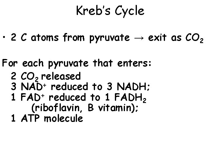 Kreb’s Cycle • 2 C atoms from pyruvate → exit as CO 2 For