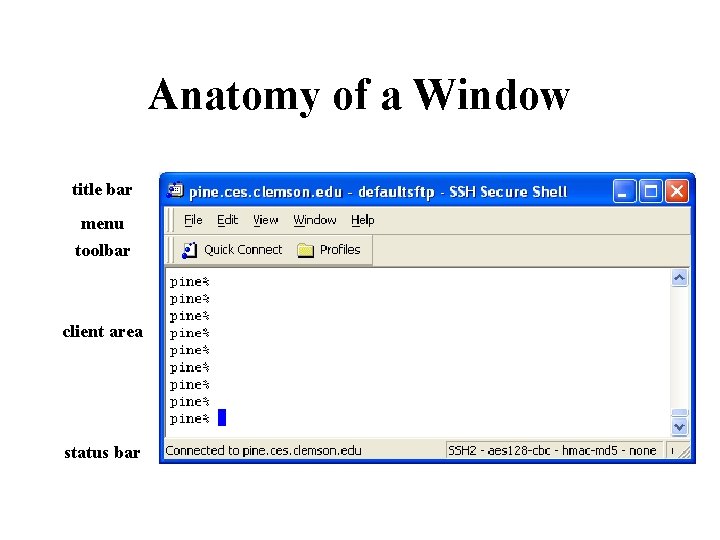 Anatomy of a Window title bar menu toolbar client area status bar 