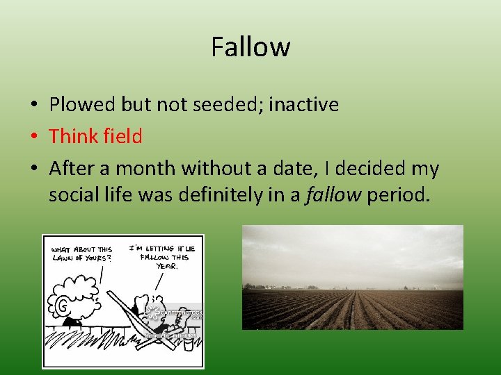 Fallow • Plowed but not seeded; inactive • Think field • After a month