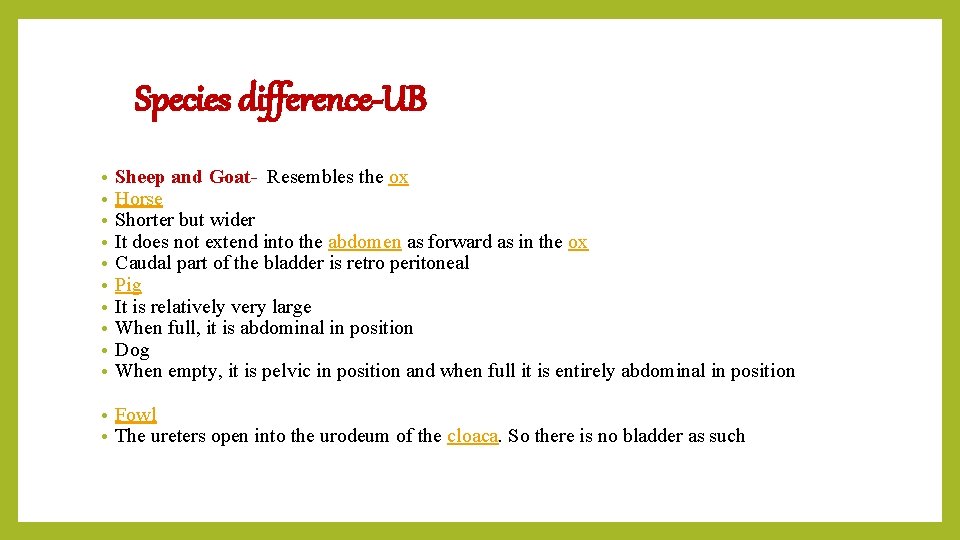 Species difference-UB • • • Sheep and Goat- Resembles the ox Horse Shorter but
