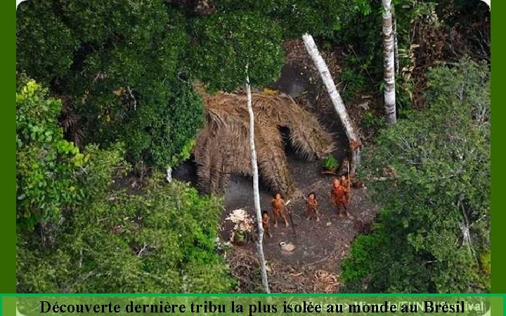 Découverte dernière tribu la plus isolée au monde au Brésil 