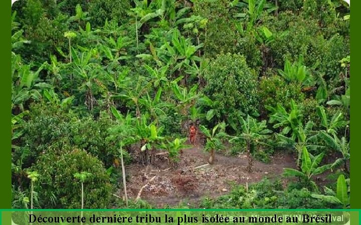 Découverte dernière tribu la plus isolée au monde au Brésil 