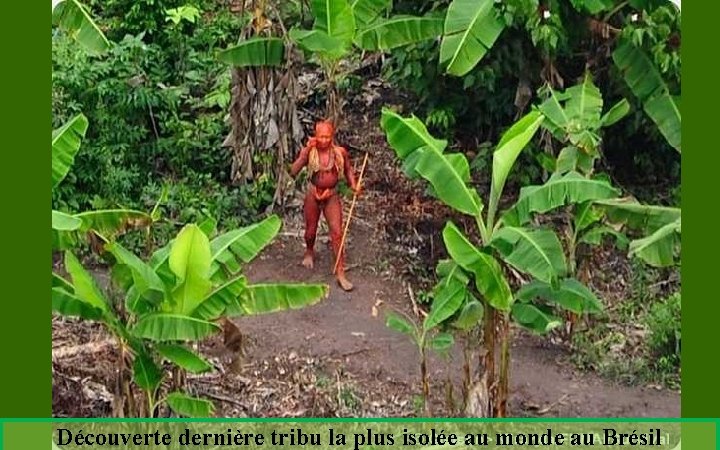 Découverte dernière tribu la plus isolée au monde au Brésil 