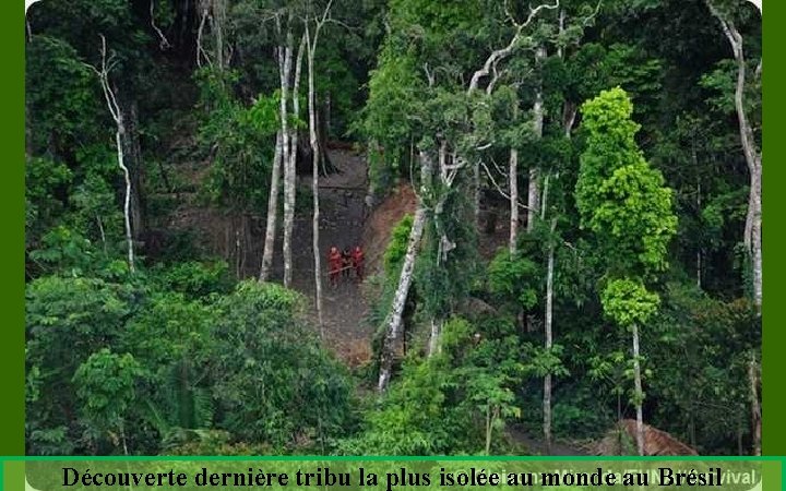 Découverte dernière tribu la plus isolée au monde au Brésil 