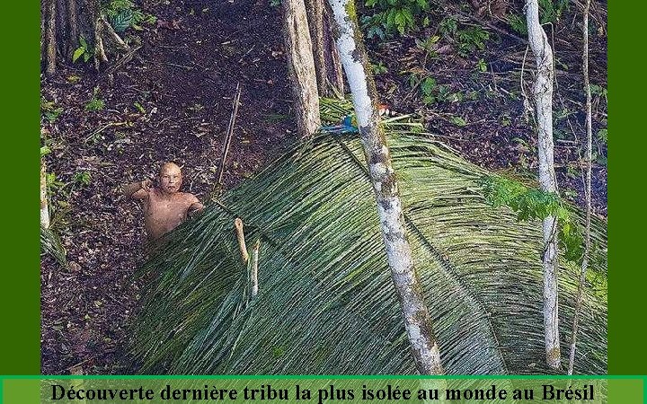 Découverte dernière tribu la plus isolée au monde au Brésil 