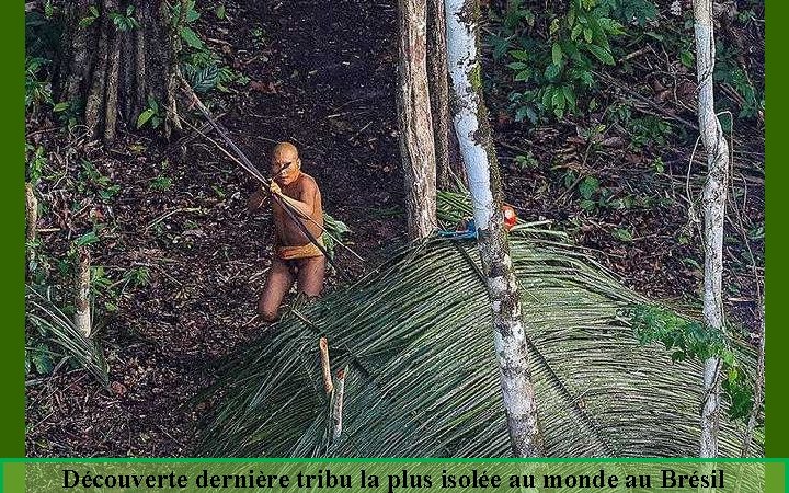 Découverte dernière tribu la plus isolée au monde au Brésil 