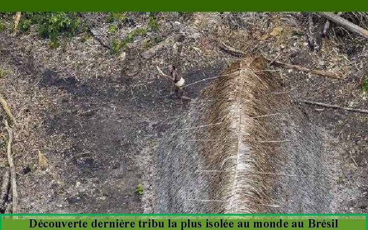 Découverte dernière tribu la plus isolée au monde au Brésil 