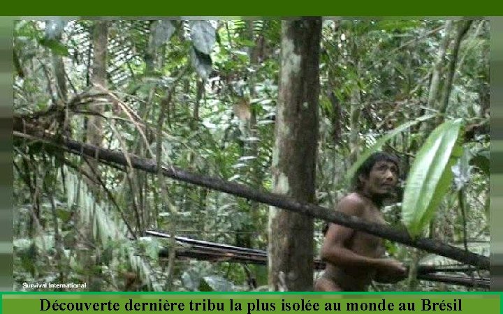 Découverte dernière tribu la plus isolée au monde au Brésil 