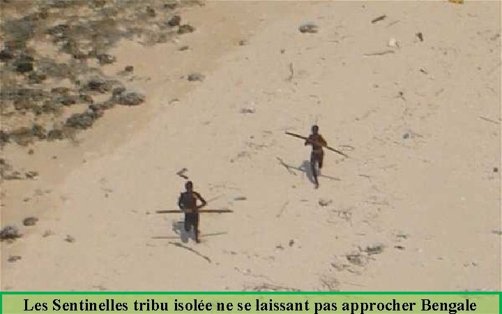 Les Sentinelles tribu isolée ne se laissant pas approcher Bengale 