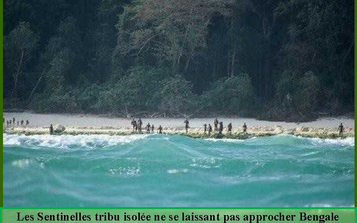 Les Sentinelles tribu isolée ne se laissant pas approcher Bengale 