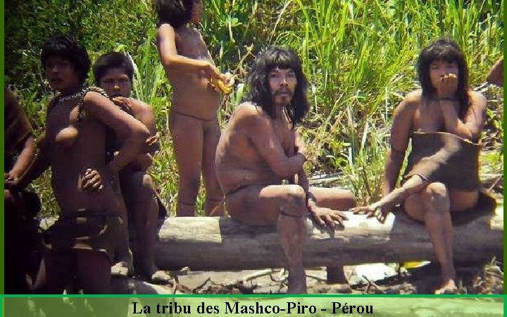 La tribu des Mashco-Piro - Pérou 