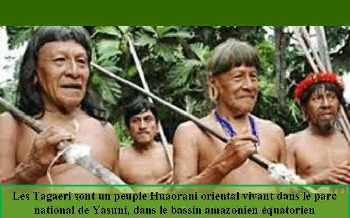 Les Tagaeri sont un peuple Huaorani oriental vivant dans le parc national de Yasuni,