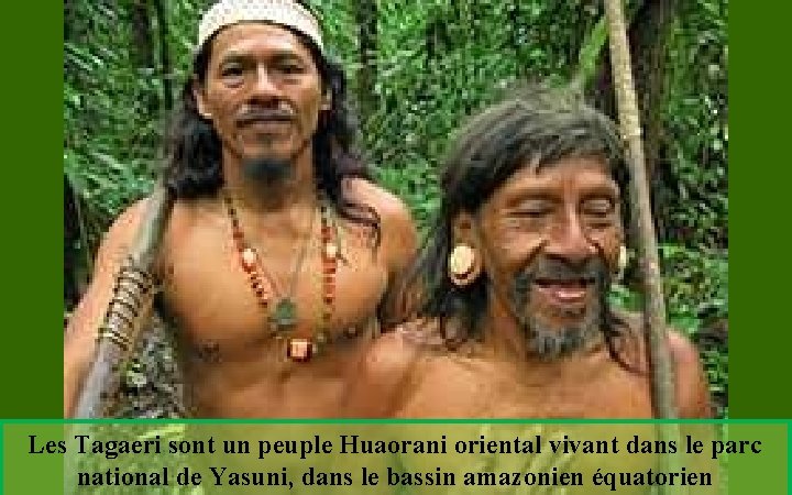 Les Tagaeri sont un peuple Huaorani oriental vivant dans le parc national de Yasuni,