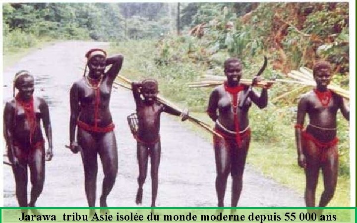 Jarawa tribu Asie isolée du monde moderne depuis 55 000 ans 