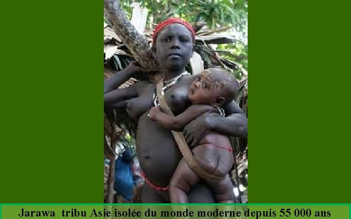 Jarawa tribu Asie isolée du monde moderne depuis 55 000 ans 