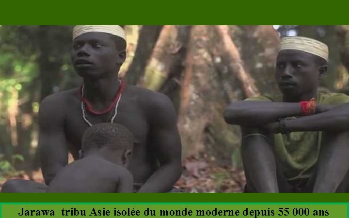 Jarawa tribu Asie isolée du monde moderne depuis 55 000 ans 