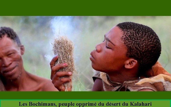 Les Bochimans, peuple opprimé du désert du Kalahari 