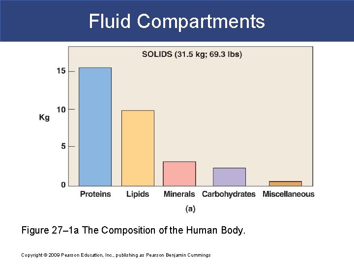 Fluid Compartments Figure 27– 1 a The Composition of the Human Body. Copyright ©